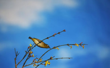 나 다움에 대하여