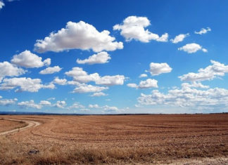 눈이 부시게 푸르른 날엔 그리운 사람을 그리워하자