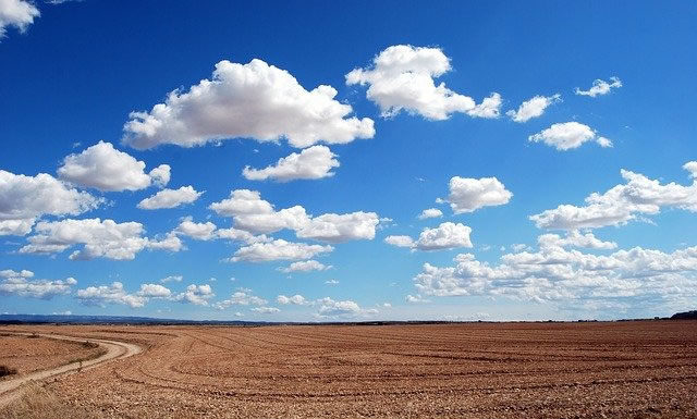 눈이 부시게 푸르른 날엔 그리운 사람을 그리워하자