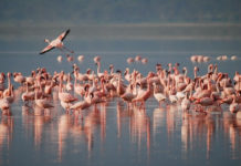 1.5세대의 고민: 하나님의 나라 공동체