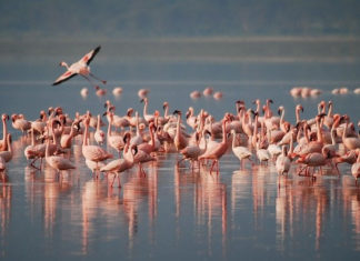 1.5세대의 고민: 하나님의 나라 공동체