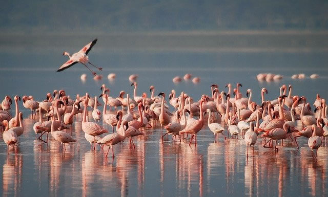 1.5세대의 고민: 하나님의 나라 공동체