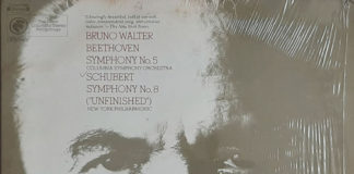 프란츠 슈베르트(Frazn Schubert, 1797~1828)