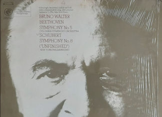 프란츠 슈베르트(Frazn Schubert, 1797~1828)