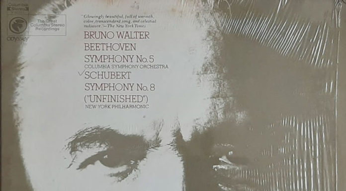 프란츠 슈베르트(Frazn Schubert, 1797~1828)