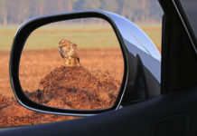 거울은 먼저 웃지 않는다