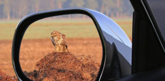 거울은 먼저 웃지 않는다
