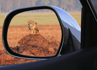 거울은 먼저 웃지 않는다
