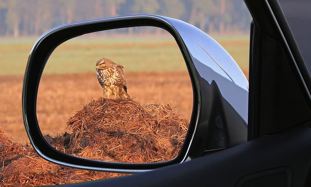 거울은 먼저 웃지 않는다