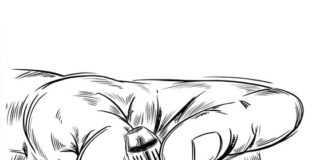 ‘므낫세의 길’