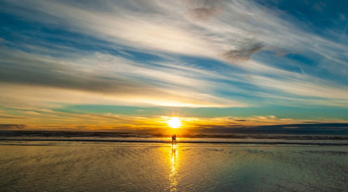 새해 첫 날에 태양빛 속으로!