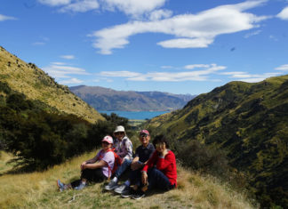 402호 라이프 커버/11박 12일의 뉴질랜드 남섬 여행