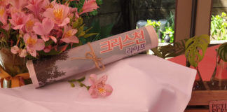 401호 크리스천 커버/특집, 창간 16년의 지나온 발자취