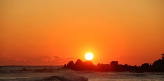 401호 라이프 커버/새해 연재 내용과 필자/특집, 창간 16년의 지나온 발자취