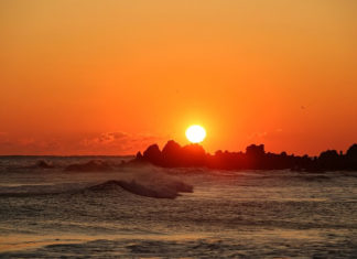 401호 라이프 커버/새해 연재 내용과 필자/특집, 창간 16년의 지나온 발자취