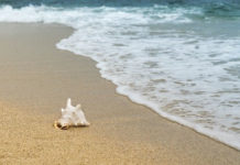 2월 셋째 주 찬송/2월 넷째 주 찬송