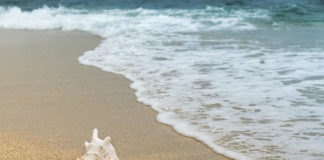 2월 셋째 주 찬송/2월 넷째 주 찬송