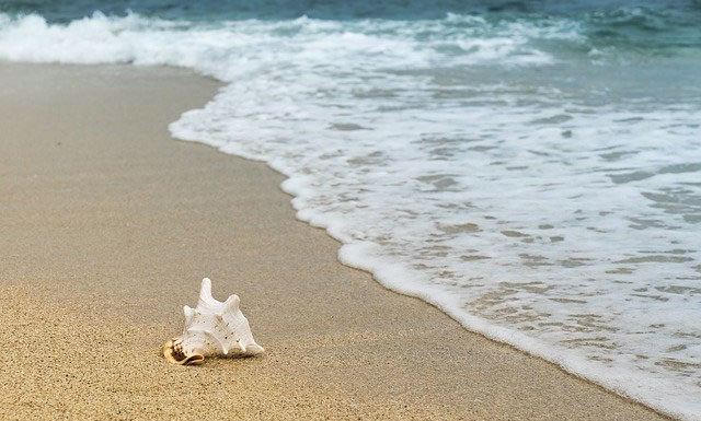 2월 셋째 주 찬송/2월 넷째 주 찬송