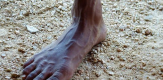 누구도 알아주지 않는 광야를 견디며