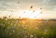 “Do not be afraid of what you are about to suffer 고난을 두려워 말라”