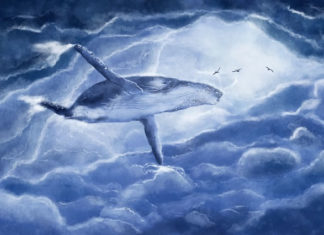 ‘고래’를 따라가다