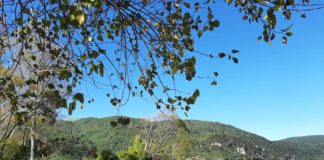 뉴질랜드 한인목회자부부수련회 후기