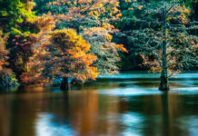 맥라렌 공원 가을 풍경