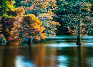 맥라렌 공원 가을 풍경