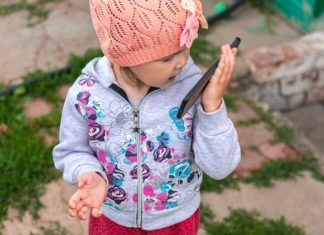 말은 나를 닮는다