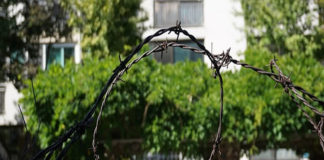 탈북민 설문을 통해 본 북한 주민 세계관