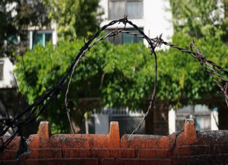 탈북민 설문을 통해 본 북한 주민 세계관