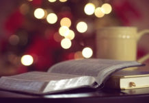 성경은 모든 문화를 판단할 수 있는 최종적 도구