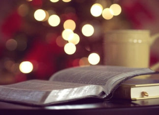 성경은 모든 문화를 판단할 수 있는 최종적 도구