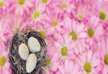 J 동네에서 부활절을 지키다