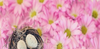 J 동네에서 부활절을 지키다