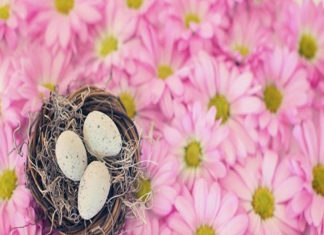 J 동네에서 부활절을 지키다