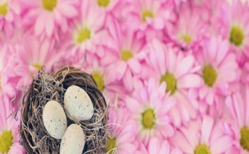 J 동네에서 부활절을 지키다