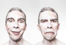 성격 이론에 대하여