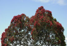 “우리 자유의 땅을 보호하소서”