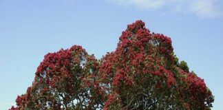 “우리 자유의 땅을 보호하소서”