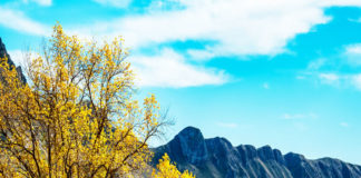 가을을 품은 마을 찾아 떠나는 여행