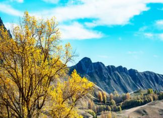 가을을 품은 마을 찾아 떠나는 여행