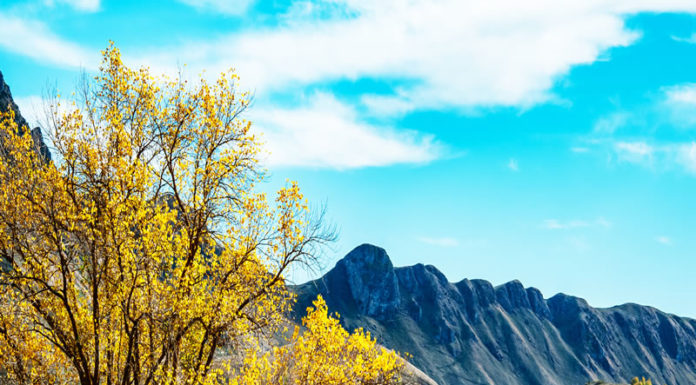 가을을 품은 마을 찾아 떠나는 여행