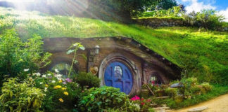 “우리 자유의 땅을 보호하소서”