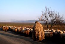 5월 다섯째 주 찬송/6월 첫째 주 찬송