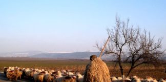 5월 다섯째 주 찬송/6월 첫째 주 찬송