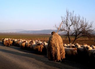 5월 다섯째 주 찬송/6월 첫째 주 찬송