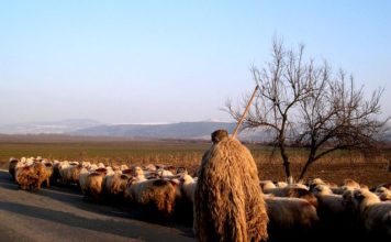 5월 다섯째 주 찬송/6월 첫째 주 찬송