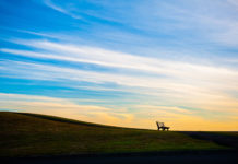 다 내게로 오라