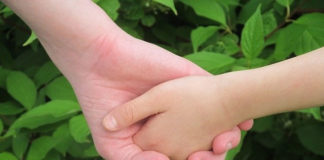 “성과를 보여야 하는 사회단체의 고민”